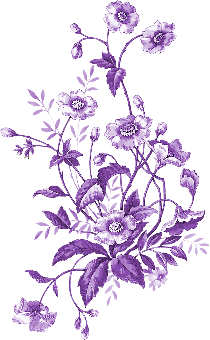 Purple Flowers Illustration 